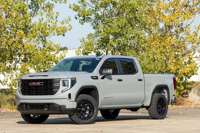 Rough Country - N3 Leveling Struts 2 Inch Loaded Strut Chevy/GMC Sierra 1500 (19-26)/Silverado 1500 (19-26) Rough Country