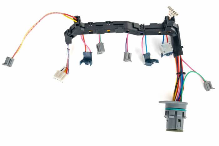 Dan's Diesel Performance, INC. - DDP Allison Internal Wire Harness, 6 Speed, 2006-2010
