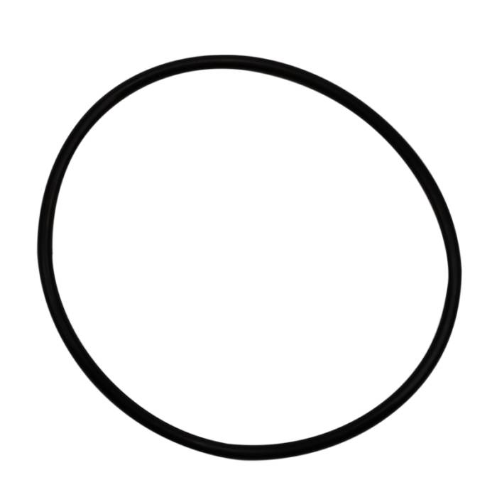 Wehrli - Wehrli S400 Compressor Outlet O-Ring Seal - WCF203-21