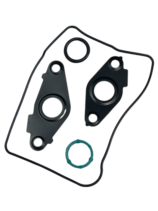 Dirty Hooker Diesel - DHD 900-103 Duramax Basic Engine Oil Cooler Seal Kit 2001-2016 6.6L