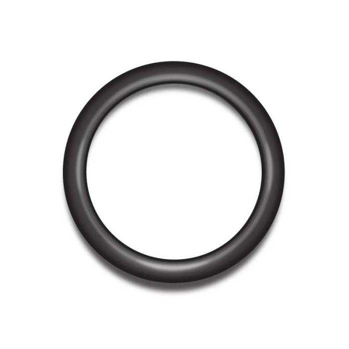 Dirty Hooker Diesel - DHD 100-401330 Selector Shaft Detent O-Ring 263XHD/261XHD