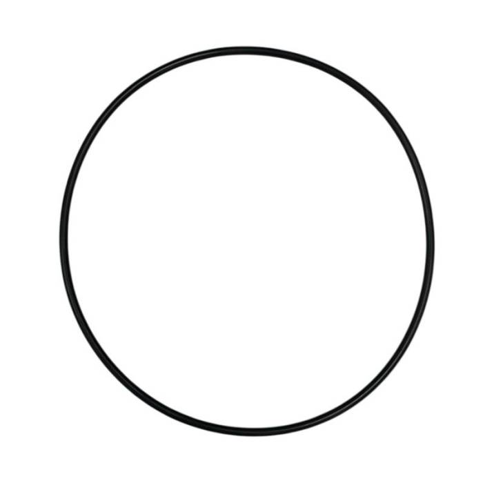 Dirty Hooker Diesel - DHD 500-WPCOR Duramax Water Pump Cover O-Ring 2001-2016