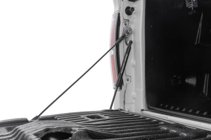 Rough Country - Tailgate Assist Ford F-150 2WD/4WD (2004-2014) Rough Country