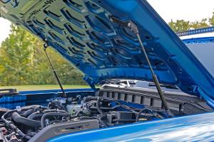 Rough Country - Hood Struts Hydraulic Ford Bronco 4WD (2021-2025) Rough Country - Image 5