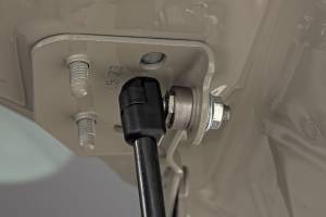 Rough Country - Hood Struts Mercedes-Benz Sprinter 3500 (19-22)/Sprinter 3500XD (19-25) Rough Country - Image 3