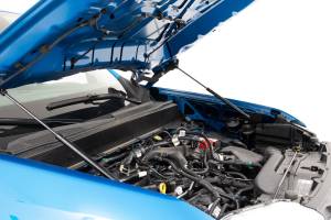 Rough Country - Hood Struts Hydraulic Ford Maverick 2WD/4WD (2022-2026) Rough Country - Image 1
