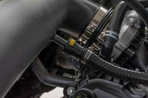 Rough Country - Cold Air Intake Kit 5.0L Ford F-150 2WD/4WD (2021-2026) Rough Country - Image 6