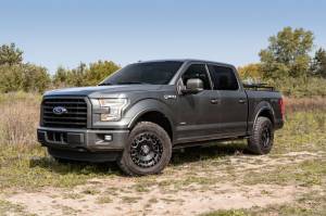 AMP Research - AMP Research 15-22 Ford F150 All Beds BedStep2 - Black - 75412-01A - Image 15