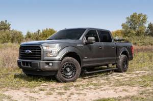 AMP Research - AMP Research 2015-2017 F150 All Cabs PowerStep Xtreme - Black - 78151-01A - Image 10