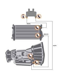 Fleece Performance - Fleece Performance 17-19 GM Duramax 2500/3500 Heavy Duty Transmission Cooler lines - FPE-TL-L5P-1719 - Image 4