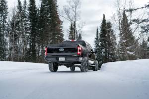 MBRP - MBRP 2021+ Ford F150 2.7L/3.5L/5.0L 4in Aluminized Steel Cat-Back - RACE VERSION - S5209AL - Image 4