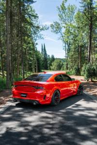 MBRP - MBRP 17-21 Charger 5.7L/6.2L/6.4L 3in Race Profile Cat-Back w/Dual Carbon Fiber Tips T304 SS Exhaust - S71183CF - Image 3