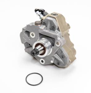 Dan's Diesel Performance, INC. - DDP LBZ/LMM Sportzman CP3 - Image 2