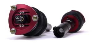 Air Lift - Air Lift Performance 2016 Audi A3/TTS / 2015-2016 VW Golf/GTI/Jetta Front Kit - 78522 - Image 5