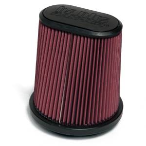 Banks Power - Banks Power 15-16 Ford F-150 2.7-3.5L EcoBoost and 5.0L Replacement Ram-Air Intake System - 41885 - Image 1