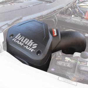 Banks Power - Banks Power 94-02 Dodge 5.9L Ram-Air Intake System - Dry Filter - 42225-D - Image 4