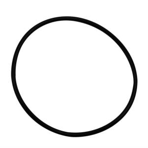 Wehrli LBZ/LMM/LML Duramax Y-Bridge Flange O-Ring Seal (Pair) - WCF203-86