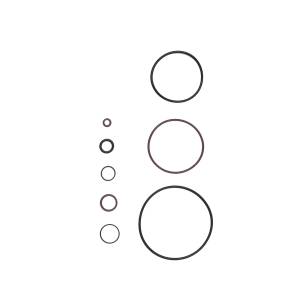 Bilstein B1 (Components) - Replacement Seal Pack Kit - 13-348472