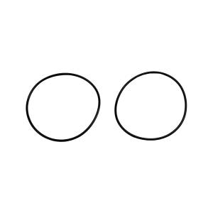 Wehrli LBZ/LMM/LML Duramax Y-Bridge Flange O-Ring (Pair)