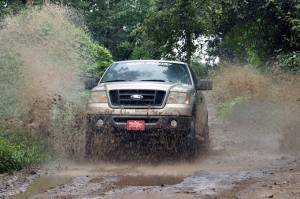 Rough Country - 2.5 Inch Leveling Kit Ford F-150 2WD/4WD (2004-2008) Rough Country - Image 4