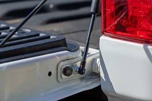 Rough Country - Tailgate Assist Nissan Titan 2WD/4WD (2017-2024) Rough Country - Image 6